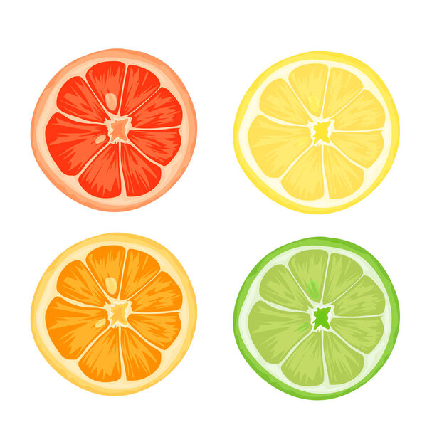 Citrus slices of lemon, orange, lime and grapefruit. Vector illustration on white