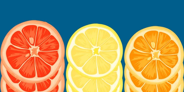 レモン オレンジ ライム グレープ フルーツのシトラス スライス ベクトル図 — ストックベクタ