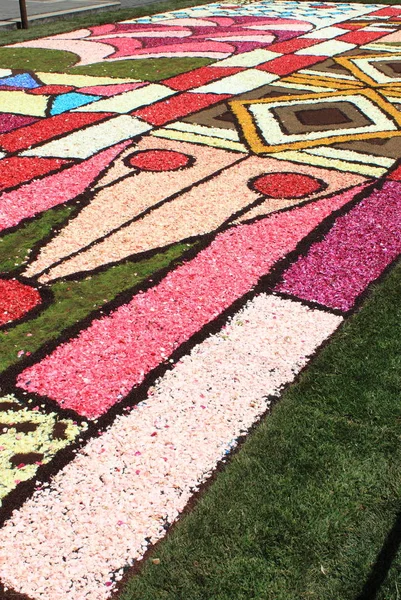 Genzano Italy June Floral Carpet Main Street June 2017 Genzano — Stock Photo, Image