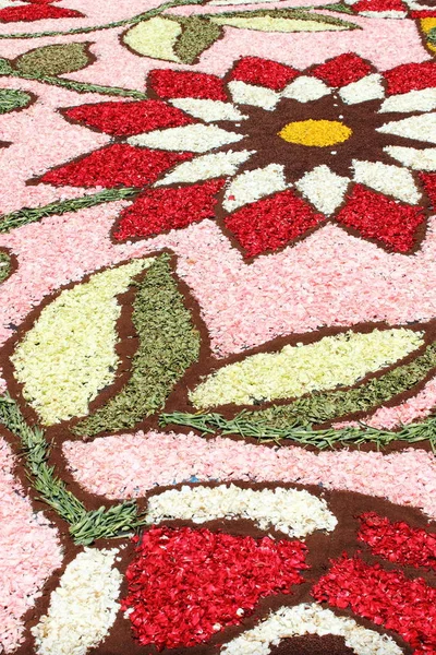 花びらで作られた色とりどりの花のじゅうたん — ストック写真