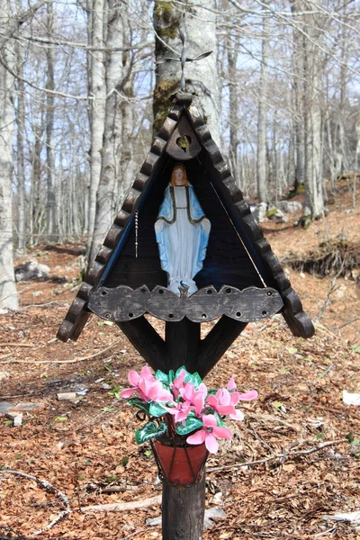 Votive Virgin Mary Escultura Floresta — Fotografia de Stock