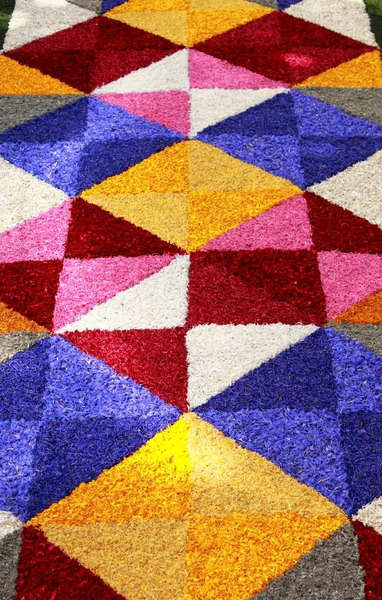 Tapis Floral Multicolore Fait Avec Des Pétales Fleurs — Photo