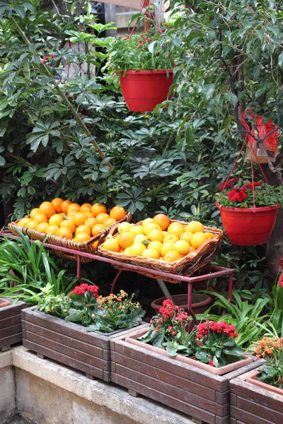 Portakal Satır Bir Greengrocery Satılık — Stok fotoğraf