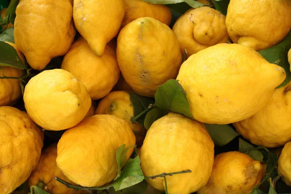 Tradiční Citronů Regionu Amalfské Pobřeží Itálie — Stock fotografie