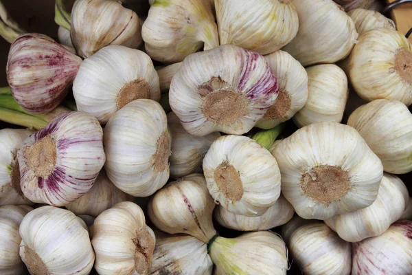 Garlic Sale Greengrocery — Stock Photo, Image