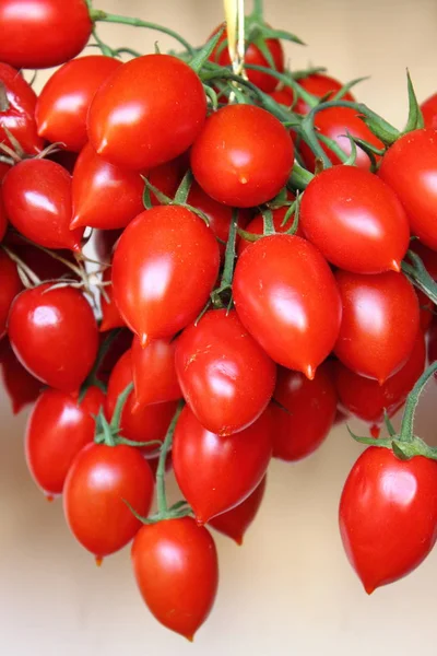 Muchos Tomates Jugosos Para Venta Puesto Mercado —  Fotos de Stock