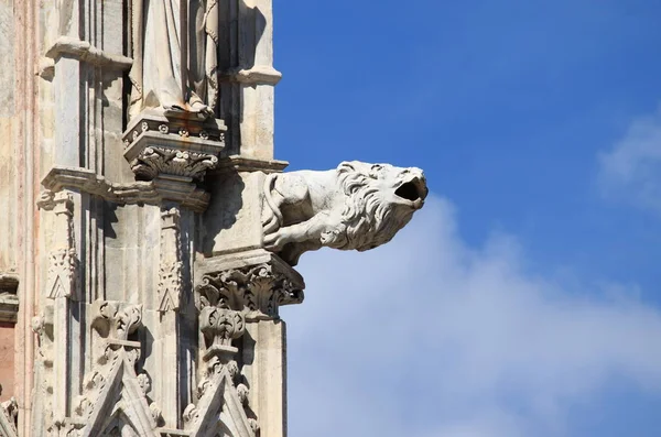 Wasserspeier Der Kathedrale Von Siena Toskana Italien — Stockfoto