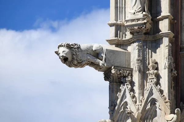Gárgula Catedral Siena Toscana Itália — Fotografia de Stock