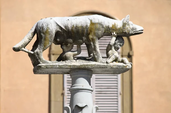 Lupa Senese Sie Wolf Von Siena Mit Senio Und Ascanio — Stockfoto