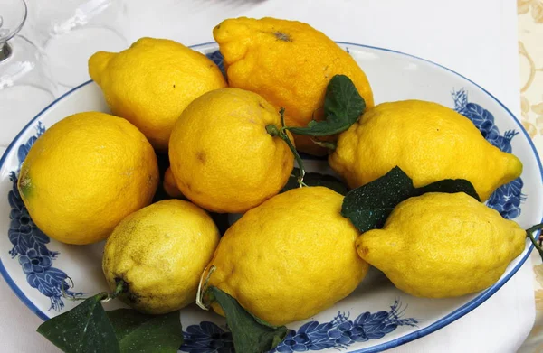 Traditional Lemons Amalfi Coast Italy — Stock Photo, Image