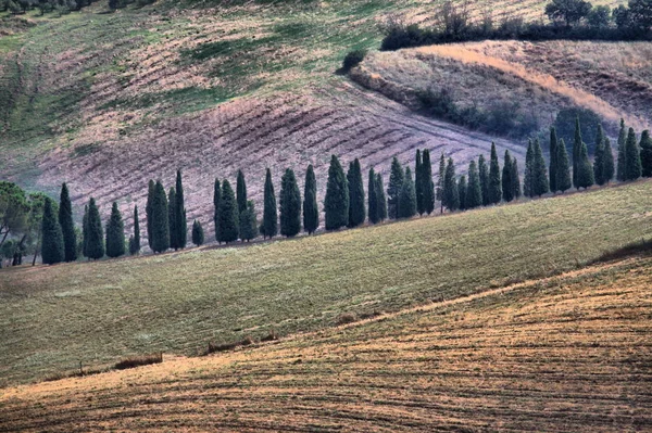Paisagem em Toscana — Fotografia de Stock