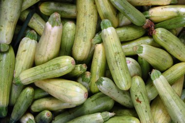 Bir manavda satılık kabaklar.