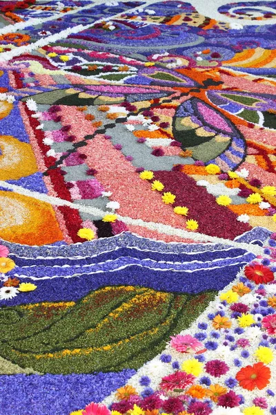 Tapis floral multicolore — Photo