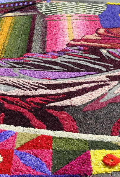 Multicolored floral carpet — Stock Photo, Image