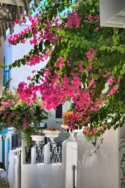 Paysage urbain de Mykonos — Photo