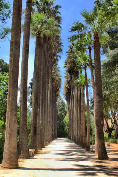 Bou Jeloud Gardens in Fes, Morocco — Stock Photo, Image