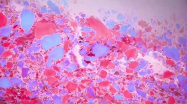 Renkli arka plan görüntüleri soyut. Boya su lekeleri. Ebru sanatı, mermer kağıt.