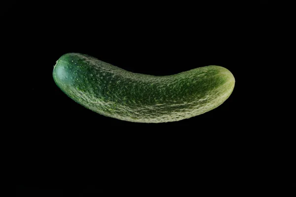 Green cucumber on dark background, isolated on black. — Stock Photo, Image