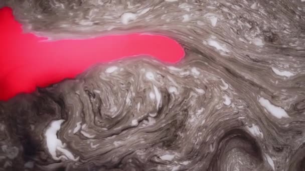 Vlekken Van Gekleurde Inkt Het Water Kleurrijke Plekken Beweging Abstracte — Stockvideo