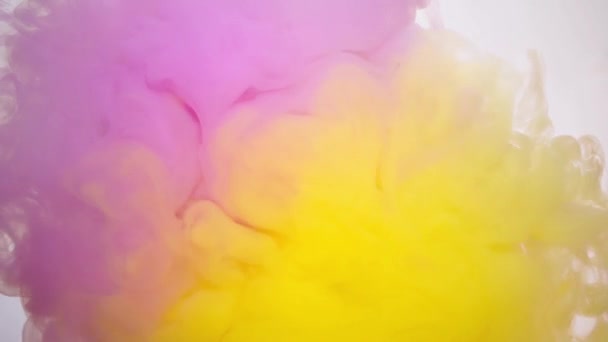 Inchiostro colorato che si diffonde in acqua su fondo bianco, filmati astratti per il motion design . — Video Stock