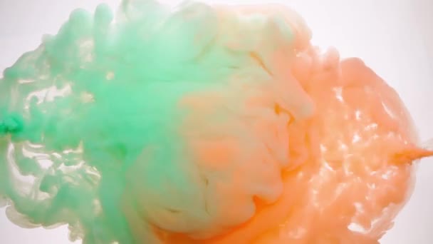 Färgat bläck spridning i vatten på vit bakgrund, abstrakt bilder för motion design. — Stockvideo