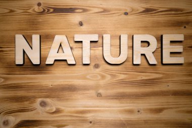 Ahşap tahta üzerinde yapı taşları ile yapılmış doğa kelime.