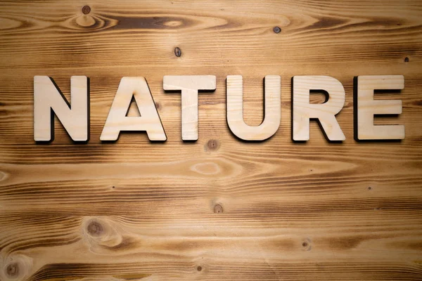 Nature Слово Зроблене Будівельних Блоків Дерев Яній Дошці — стокове фото