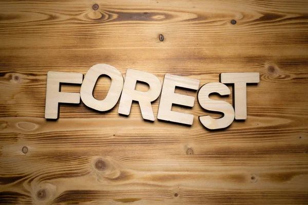 Forest Ord Gjort Med Byggstenar Träskiva — Stockfoto