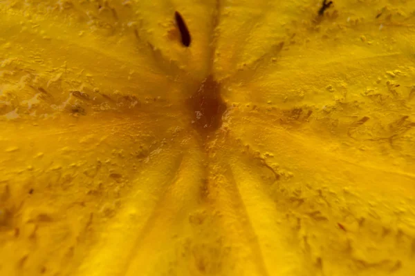 Persimmon backlit pulp in the cut. Translucent persimmon close-up — Stock Photo, Image