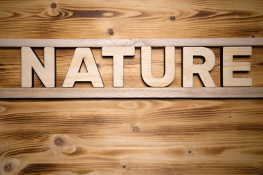 Ahşap tahta üzerinde yapı taşları ile yapılmış doğa kelime