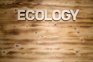 Ahşap tahta üzerinde ahşap harflerin ekoloji kelime yapılmış.