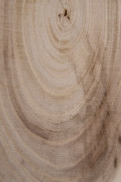 Ahşap kesit yıllık halkalar yakın çekim atış ile. Parça yakın çekim keresteler.