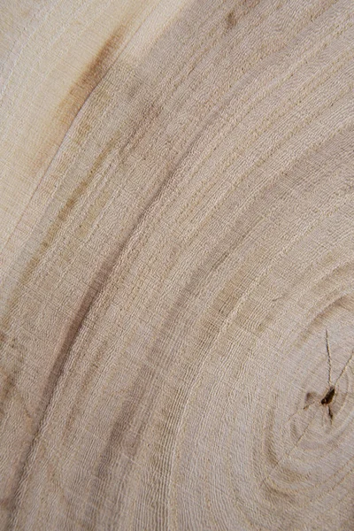 Corte transversal de madeira com anéis anuais close-up shot. Peça de madeira close-up . — Fotografia de Stock