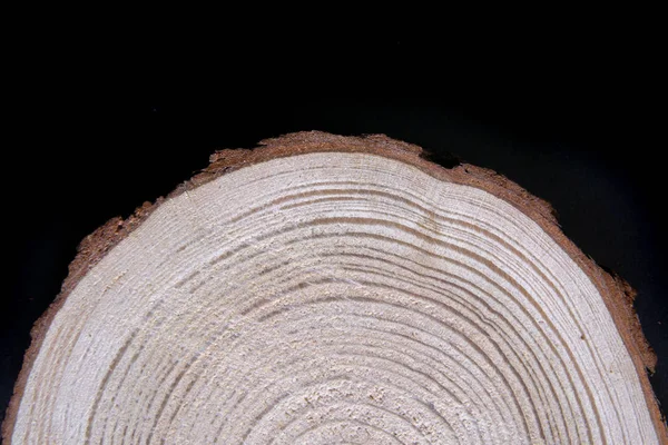 Wood cross-section with annual rings on black background. Lumber piece close-up. — Stock Photo, Image