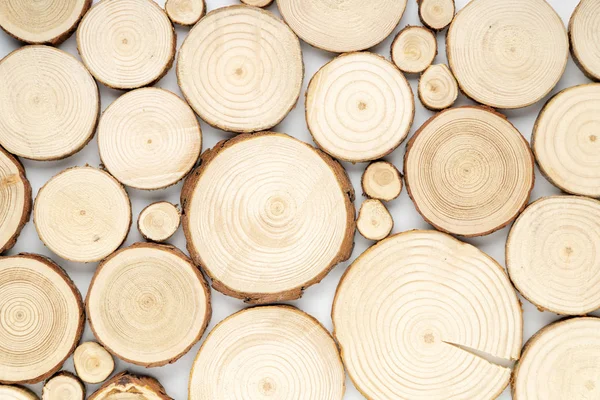 Pine tree cross-sections with annual rings on white background. Lumber piece close-up, top view.