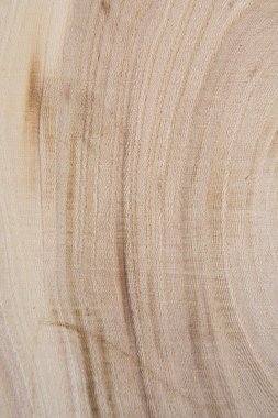 Ahşap kesit yıllık halkalar yakın çekim atış ile. Parça yakın çekim keresteler.