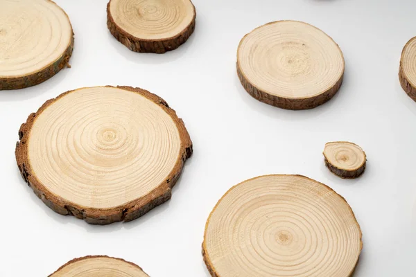 Pine tree cross-sections with annual rings on plane white surface. Lumber piece close-up.