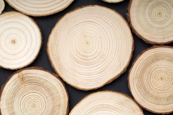 Coupes transversales de pins avec anneaux annuels sur fond noir. Panneau bois gros plan, vue de dessus . — Photo