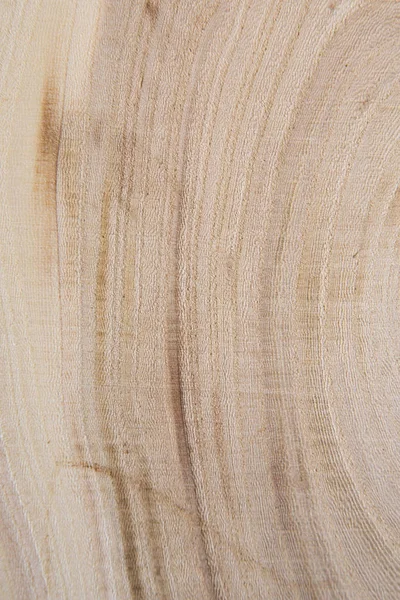Corte transversal de madeira com anéis anuais close-up shot. Peça de madeira close-up . — Fotografia de Stock