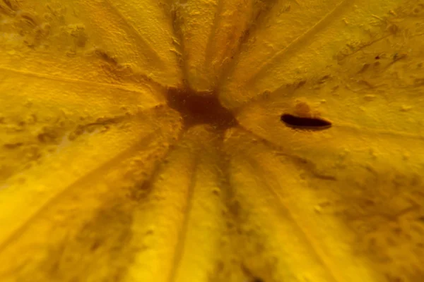Persimmon backlit pulp in the cut. Translucent persimmon close-up — Stock Photo, Image