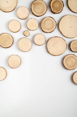 Çam ağacı kesit yıllık halkaları beyaz arka plan ile. Parça yakın çekim, üstten görünüm keresteler.