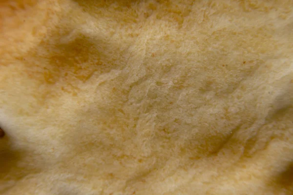 Saltine cracker crust close-up shot, extreme macro. — Stock Photo, Image