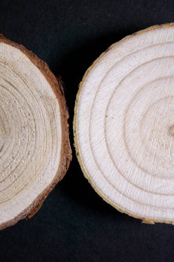 Ahşap kesit yıllık halkaları siyah arka plan ile. Parça yakın çekim keresteler.