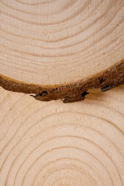 Seções transversais empilhadas de tronco de pinheiros com anéis anuais. Peça de madeira close-up . — Fotografia de Stock