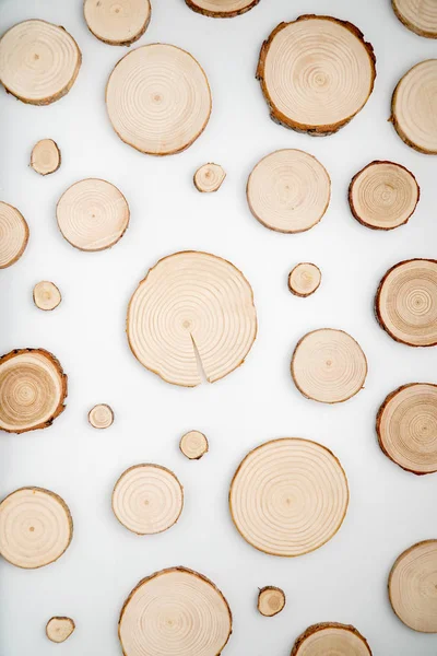 Pine tree cross-sections with annual rings on white background. Lumber piece close-up, top view.