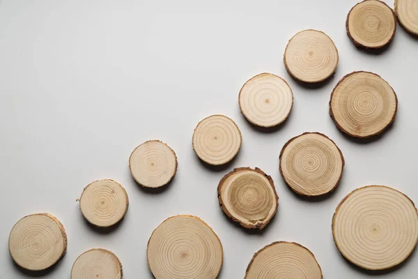 Pine tree cross-sections with annual rings on white background. Lumber piece close-up, top view.