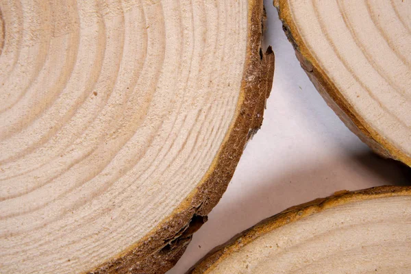 Pine tree trunk cross-section with annual rings. Lumber piece close-up.