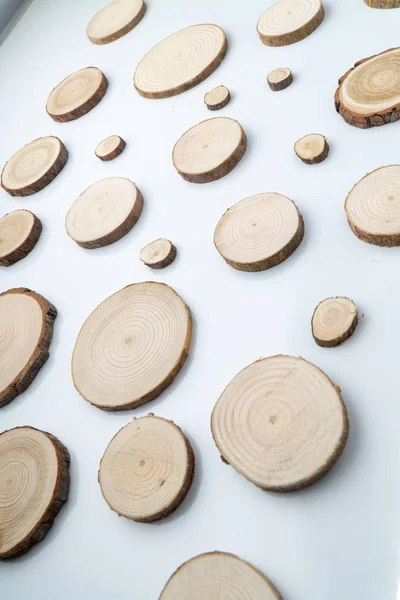 Pine tree cross-sections with annual rings on plane white surface. Lumber piece close-up.