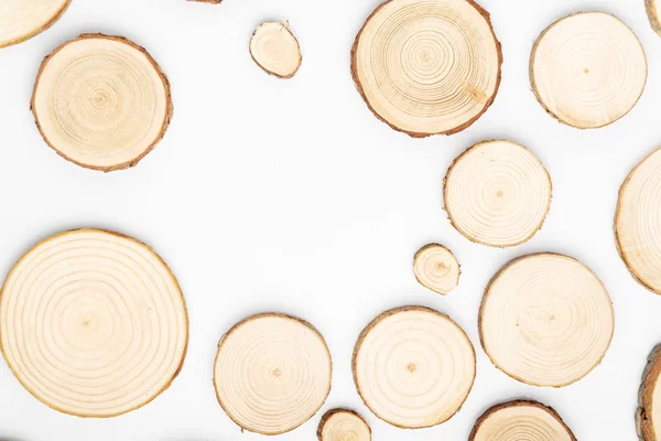 Sections transversales de pins avec anneaux annuels sur fond blanc. Panneau bois gros plan, vue de dessus . — Photo