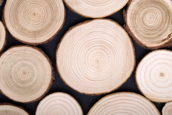 Pine tree cross-sections with annual rings on black background. Lumber piece close-up, top view. — Stock Photo, Image